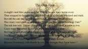 The-Oak-Tree